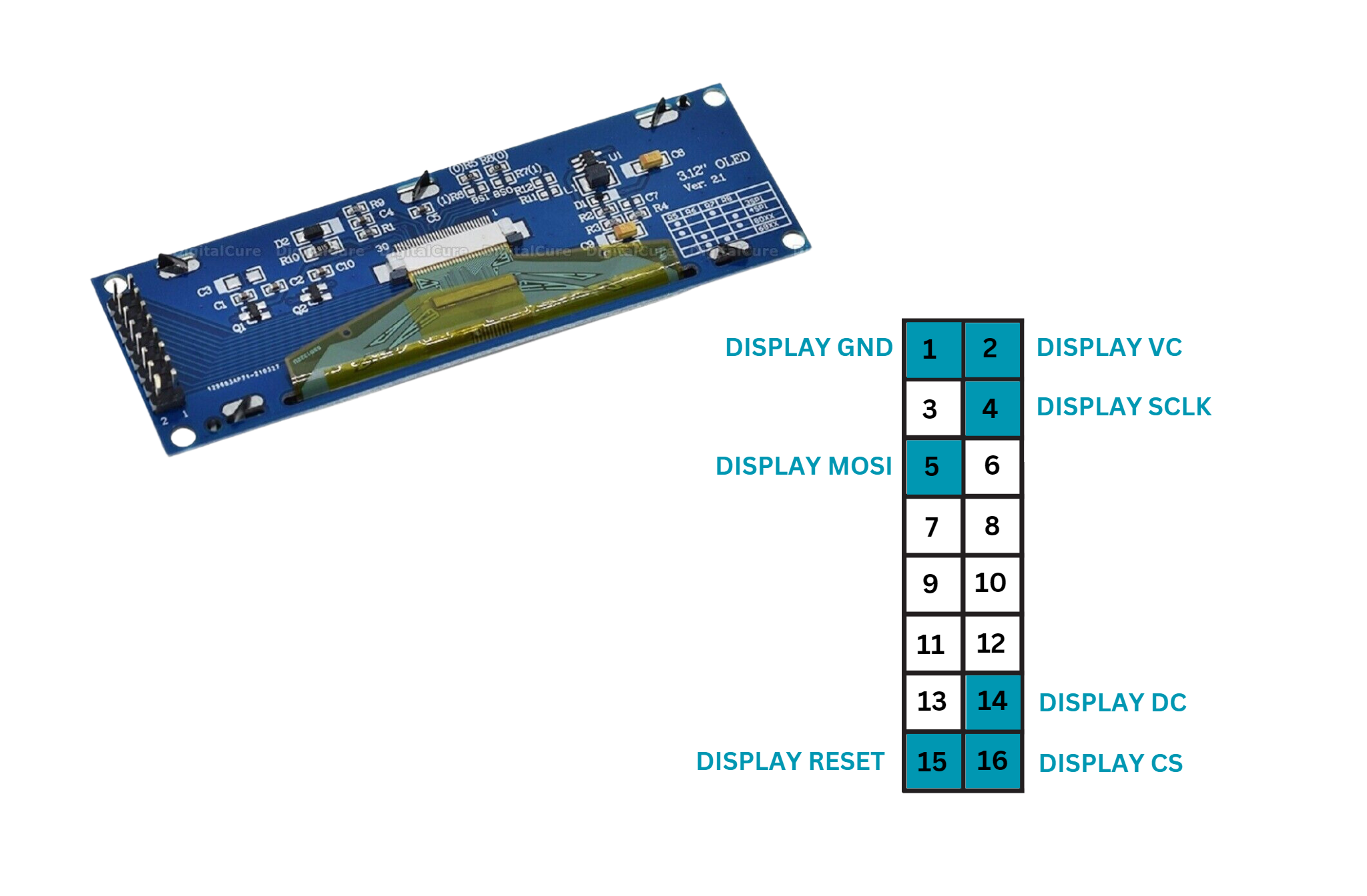 SSD1322 OLED SPI pinout